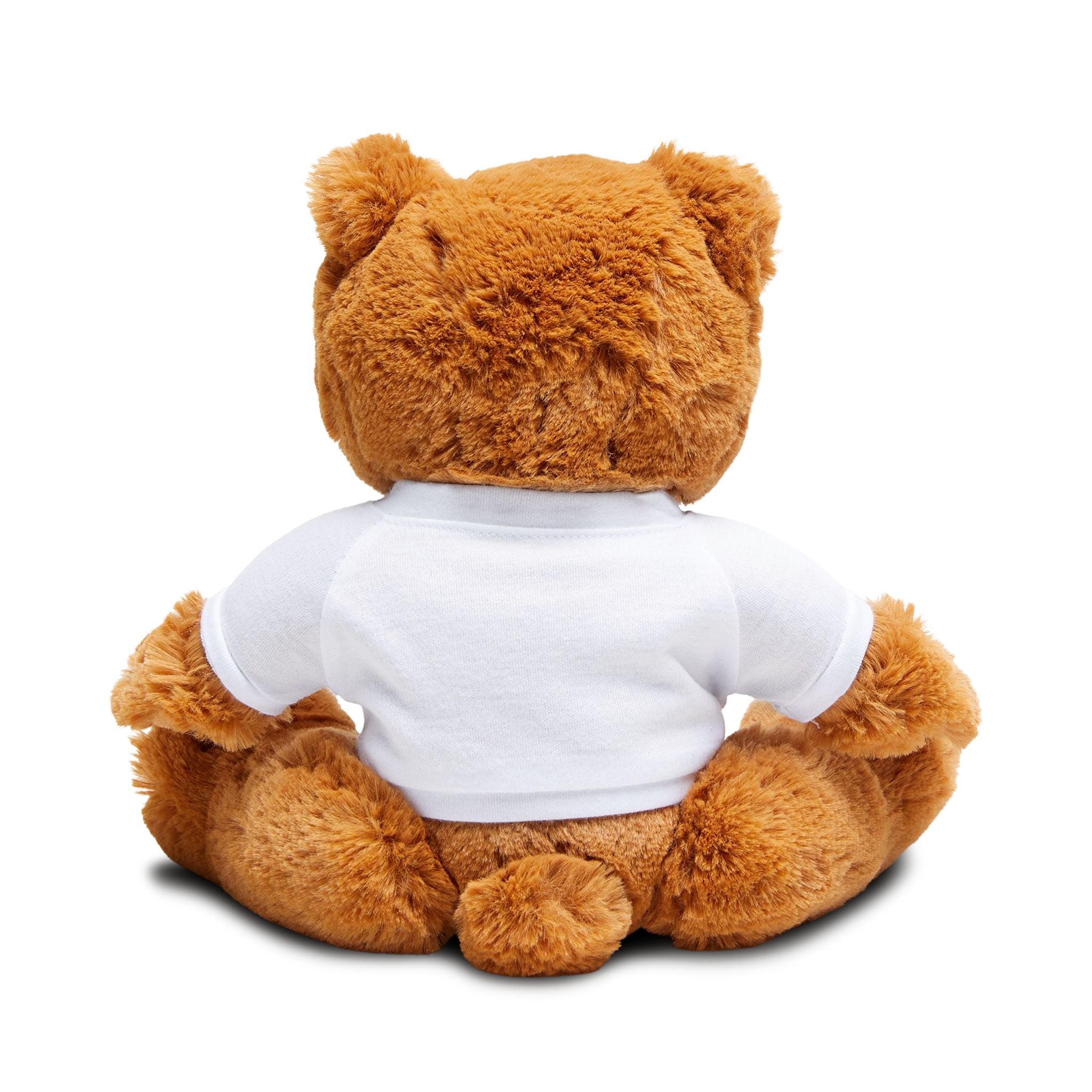 Customizable Teddy Bear with Editable T-Shirt — Personalized Plush Gift